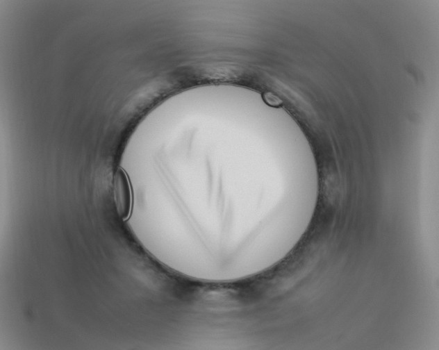 X0000113540407200910161416