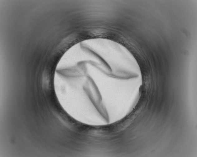 X0000113540408200910161416
