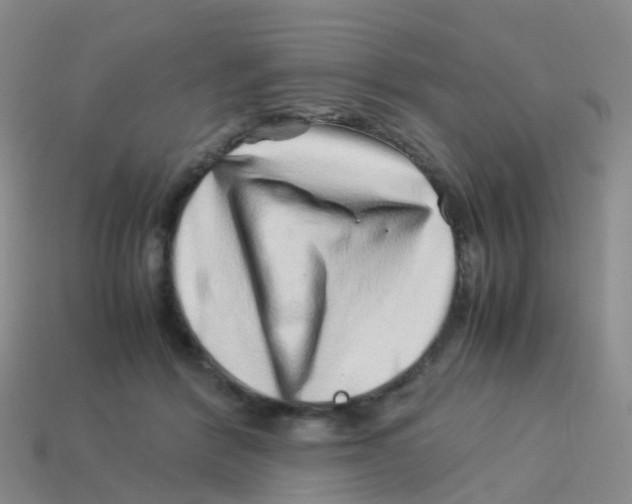 X0000113540412200910161416