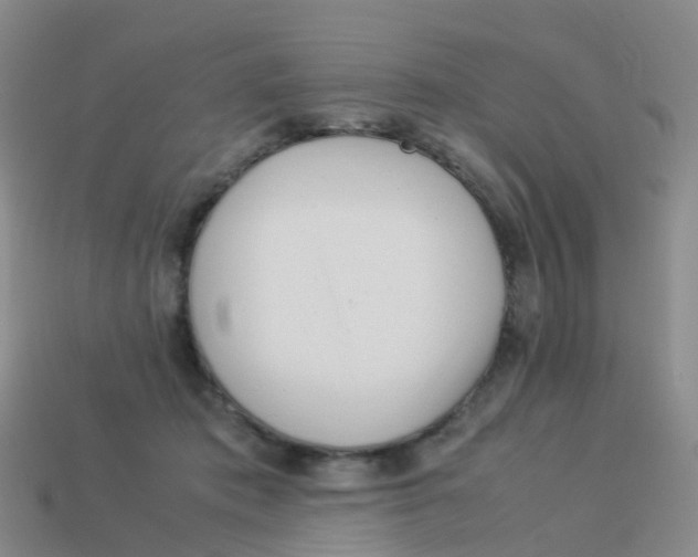 X0000113540413200910161416