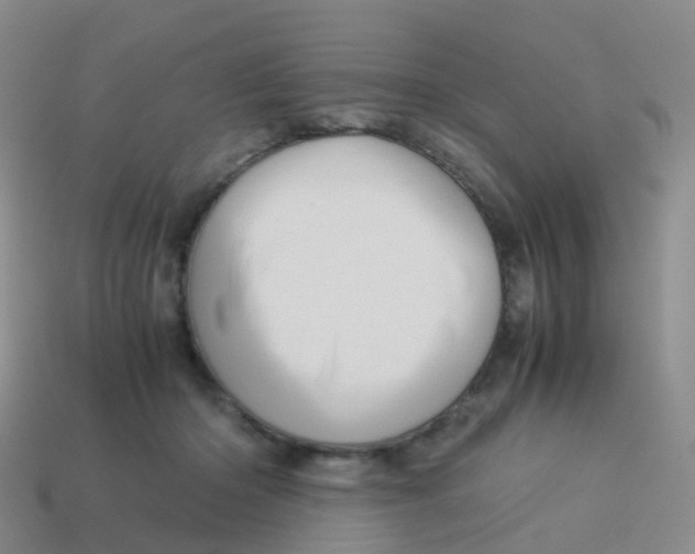 X0000113540414200910161416