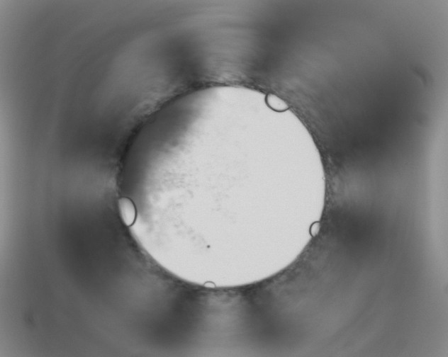 X0000113540415200910161416
