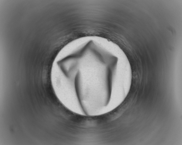 X0000113540416200910161416