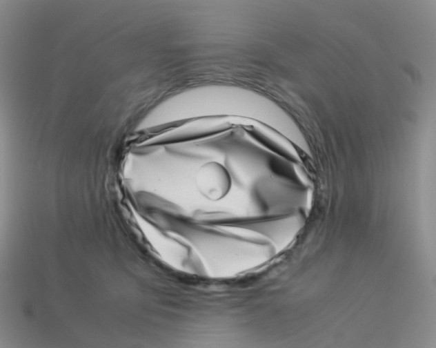 X0000113540419200910161416