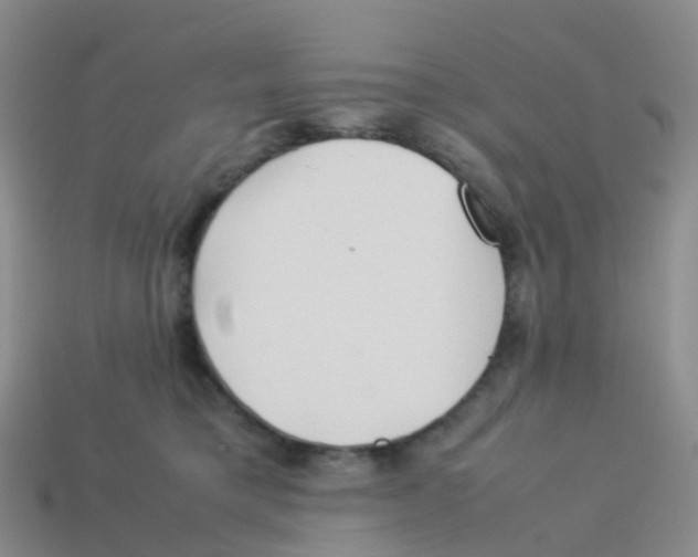 X0000113540421200910161416