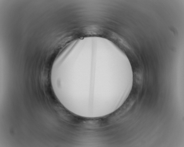 X0000113540422200910161416