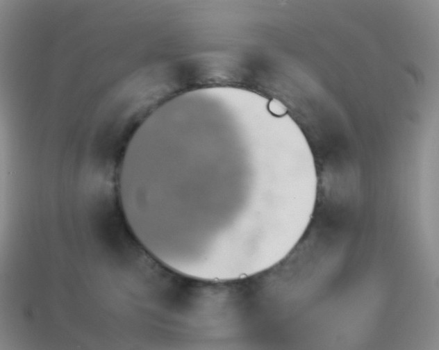 X0000113540423200910161416