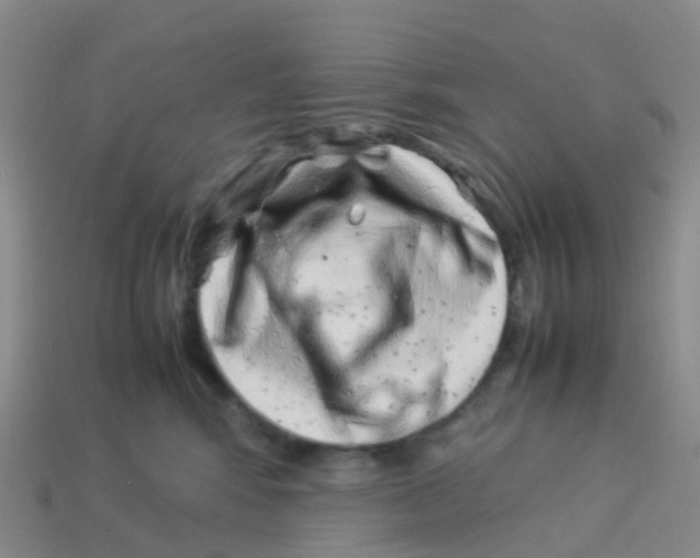 X0000113540424200910161416