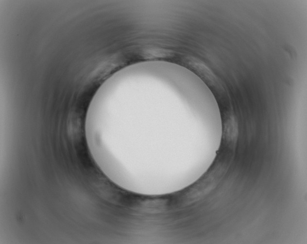 X0000113540426200910161416