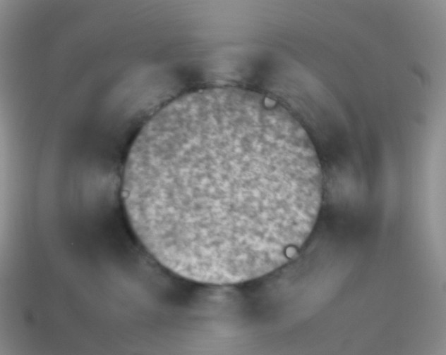 X0000113540427200910161416