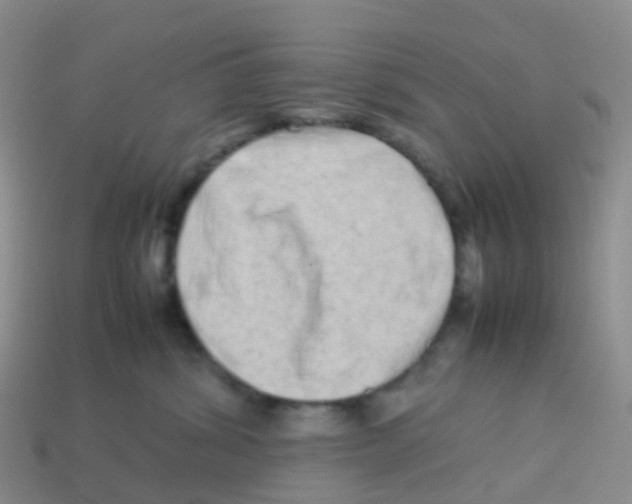 X0000113540428200910161416