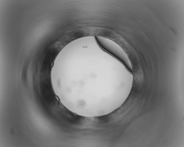 X0000113540429200910161416