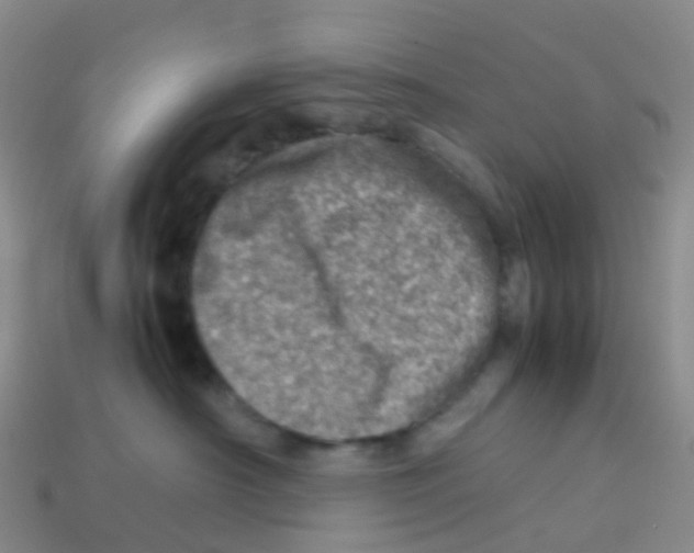 X0000113540430200910161416