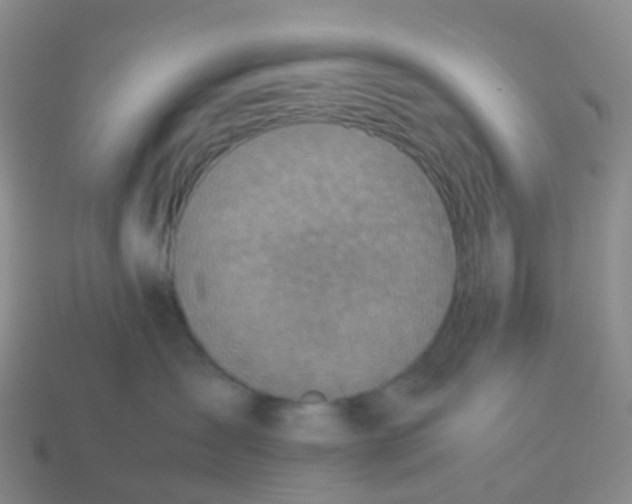 X0000113540431200910161416