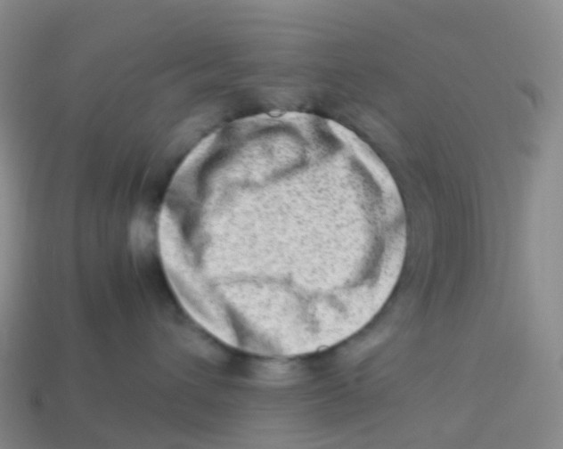 X0000113540432200910161416