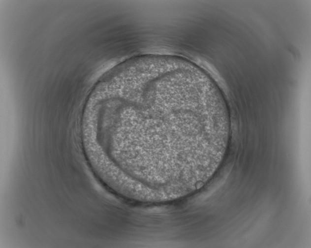X0000113540433200910161415