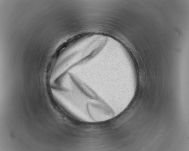 X0000113540434200910161415