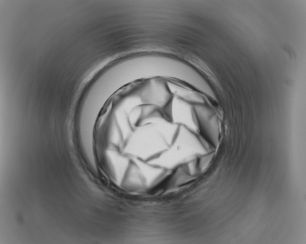 X0000113540436200910161415