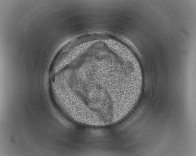 X0000113540439200910161415