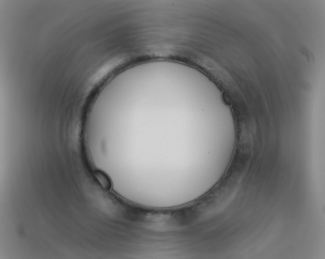 X0000113540440200910161415