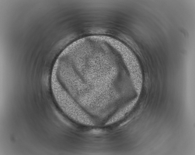 X0000113540441200910161415