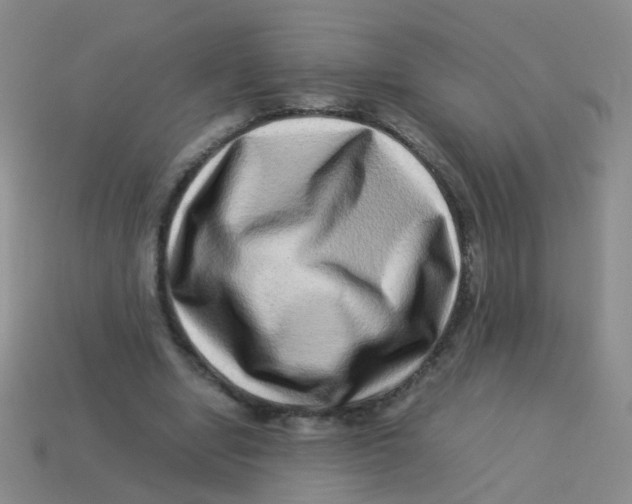 X0000113540442200910161415
