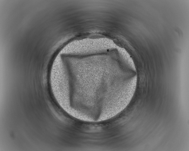 X0000113540443200910161415