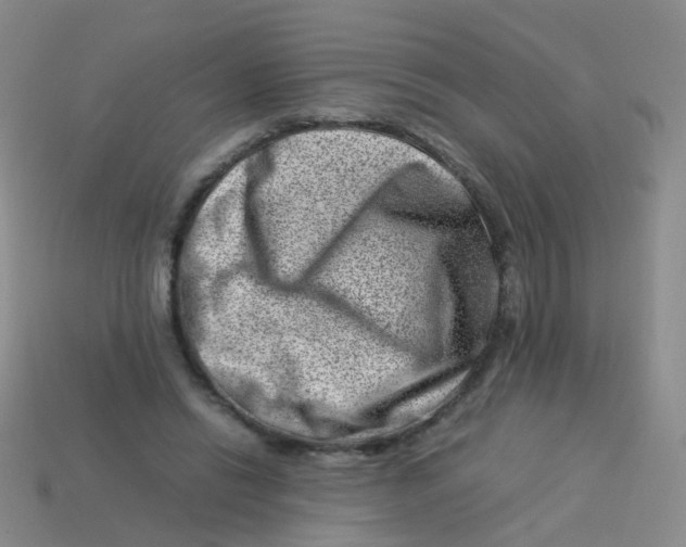 X0000113540446200910161415