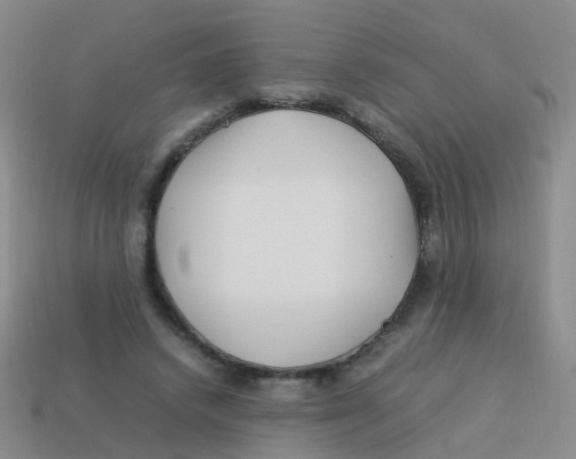 X0000113540448200910161416