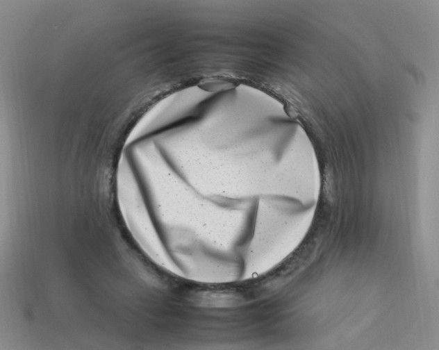 X0000113540449200910161416
