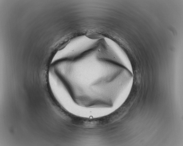 X0000113540450200910161416