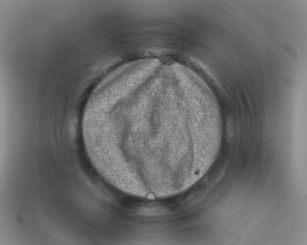X0000113540451200910161416