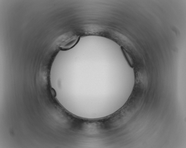 X0000113540452200910161416