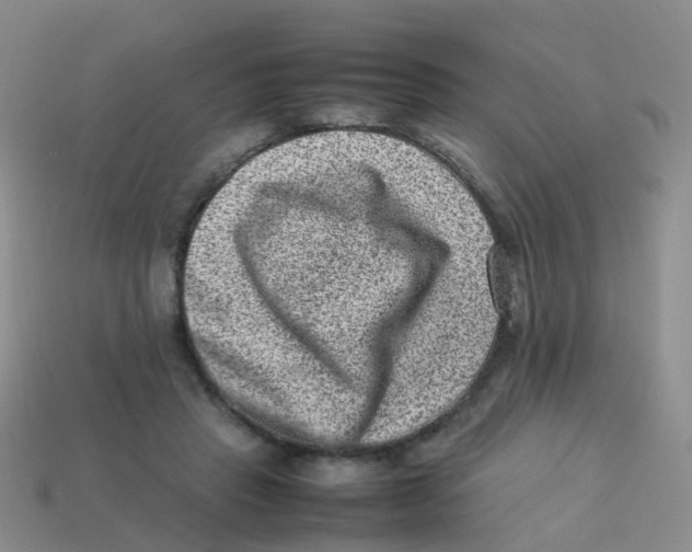 X0000113540453200910161416