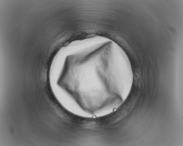 X0000113540454200910161416