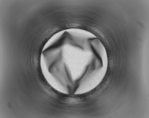 X0000113540455200910161416