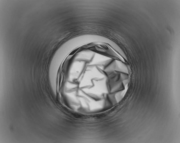 X0000113540456200910161416