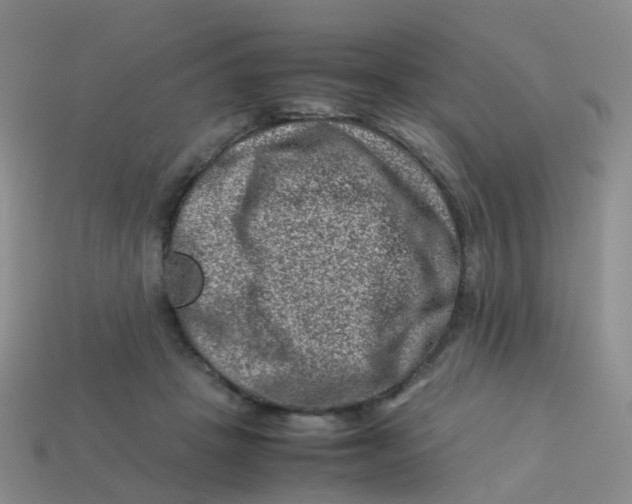 X0000113540457200910161416