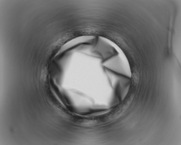 X0000113540458200910161416