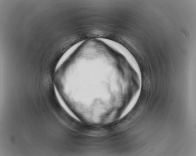 X0000113540459200910161416