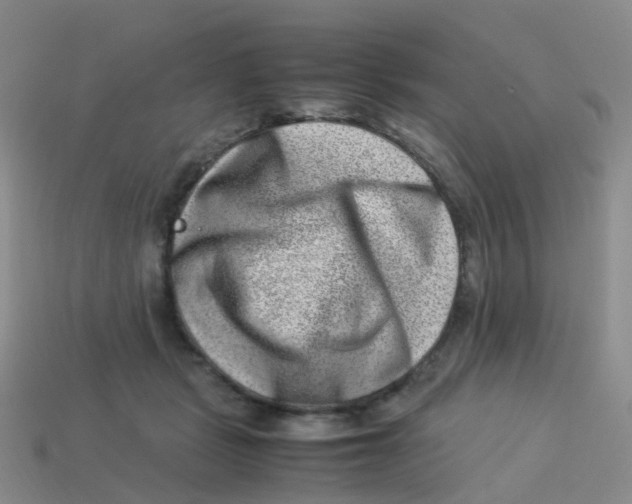 X0000113540461200910161416