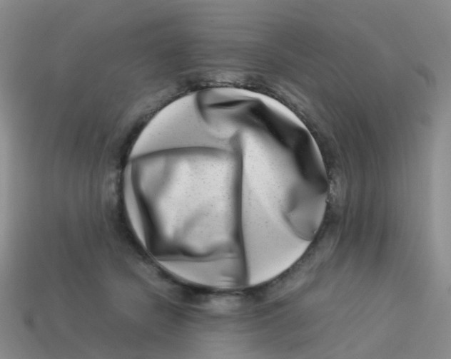 X0000113540462200910161416