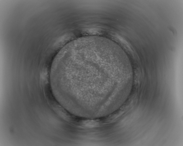 X0000113540465200910161416