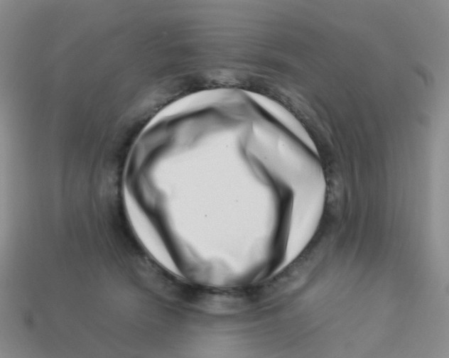 X0000113540466200910161416