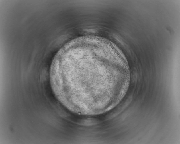 X0000113540467200910161416