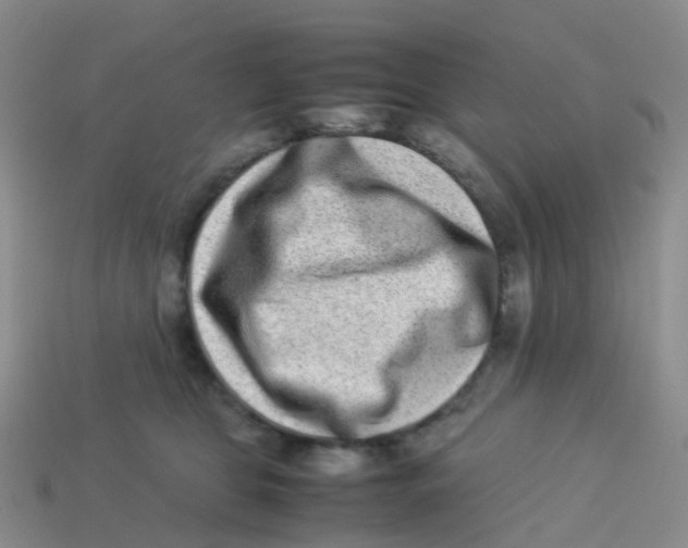X0000113540469200910161416