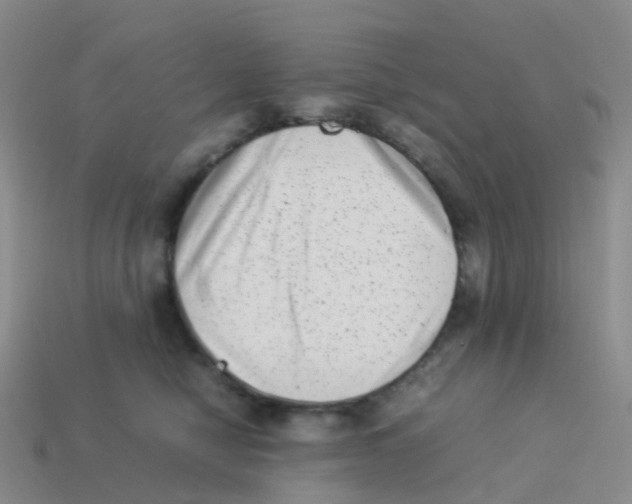 X0000113540470200910161416