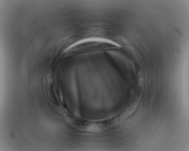 X0000113540471200910161416