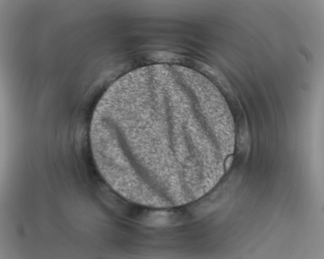 X0000113540473200910161416