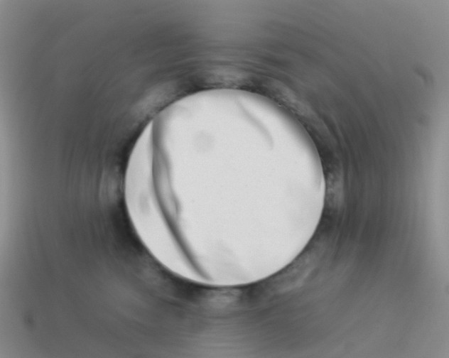 X0000113540474200910161416